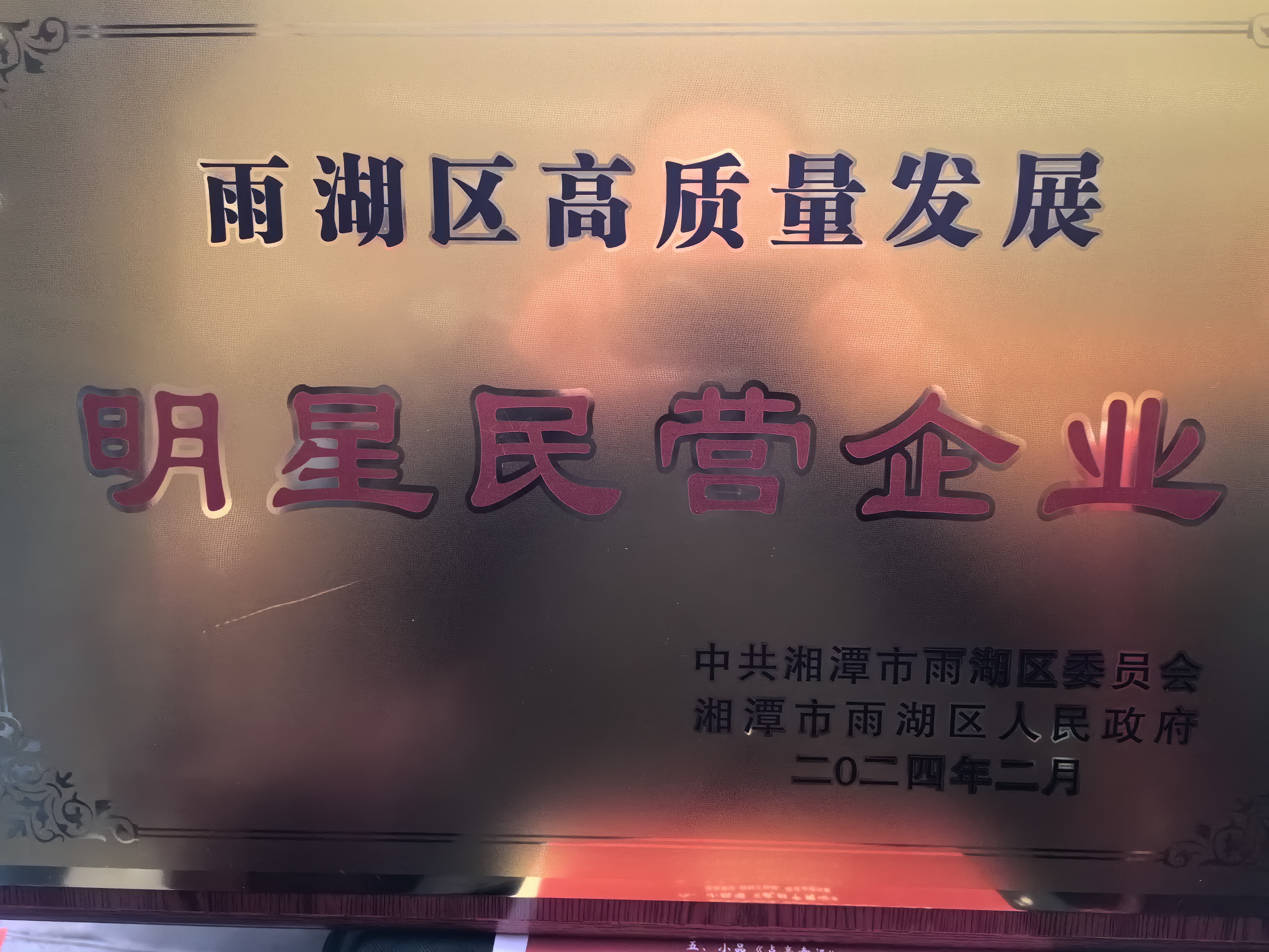 安博（中国）荣获“雨湖区高质量发展明星民营企业”称号